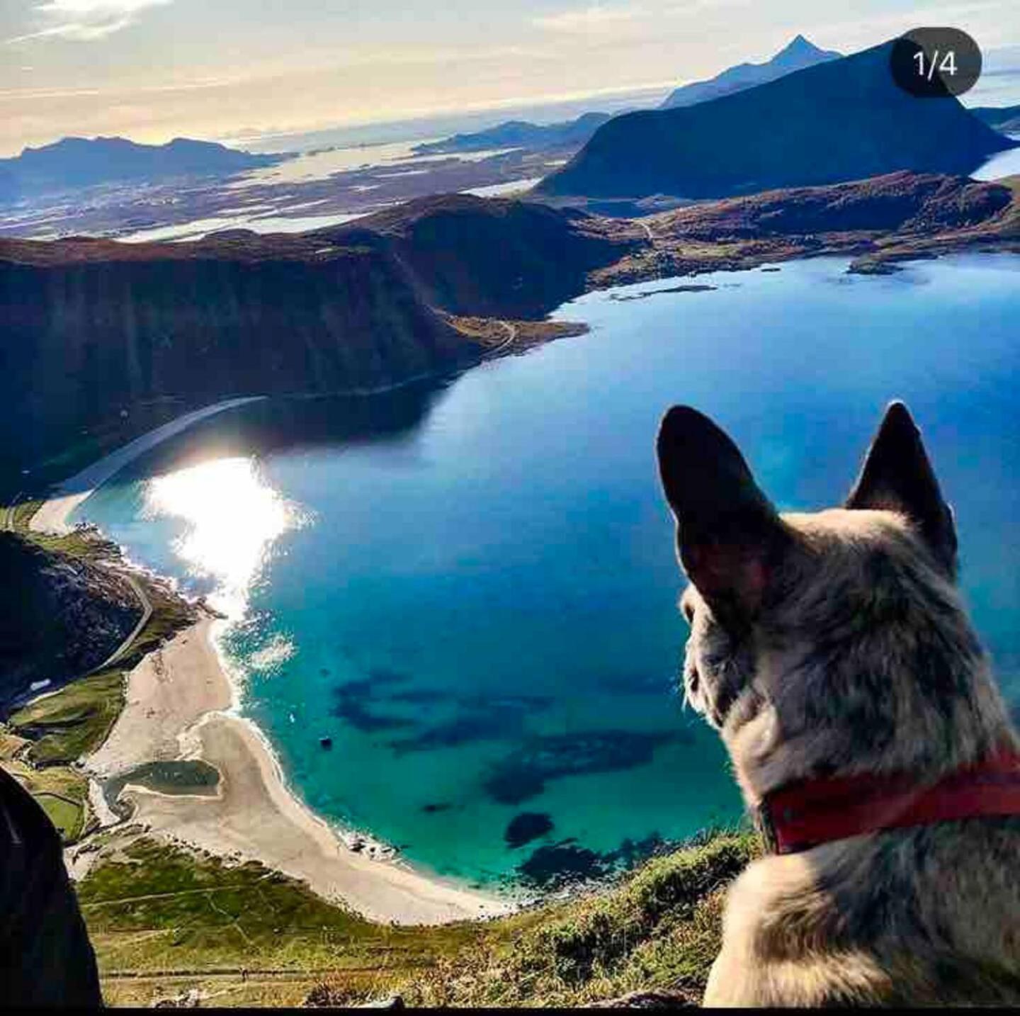 Lofoten Seaview Ballstad Εξωτερικό φωτογραφία