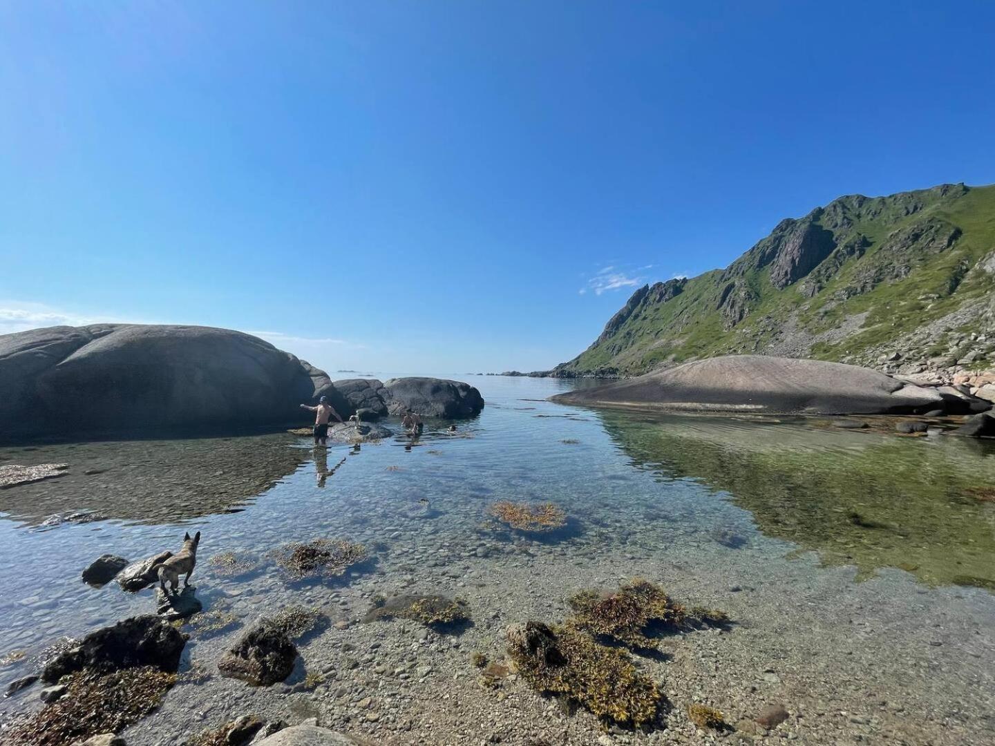 Lofoten Seaview Ballstad Εξωτερικό φωτογραφία